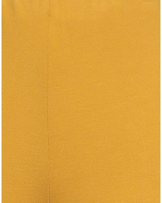 Liu Jo Orange Pants