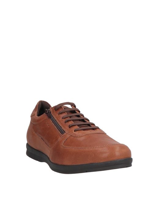 Geox Brown Sneakers Leather for men