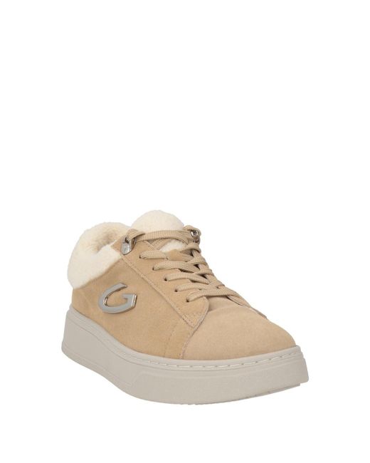 Alberto Guardiani Natural Trainers