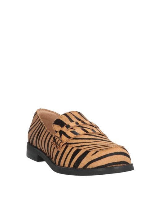 Maliparmi Multicolor Loafer