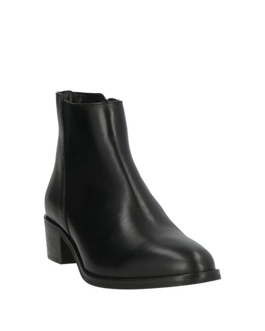 Anima Black Ankle Boots Leather