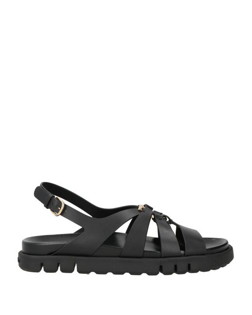 Ferragamo Black Flat Sandals