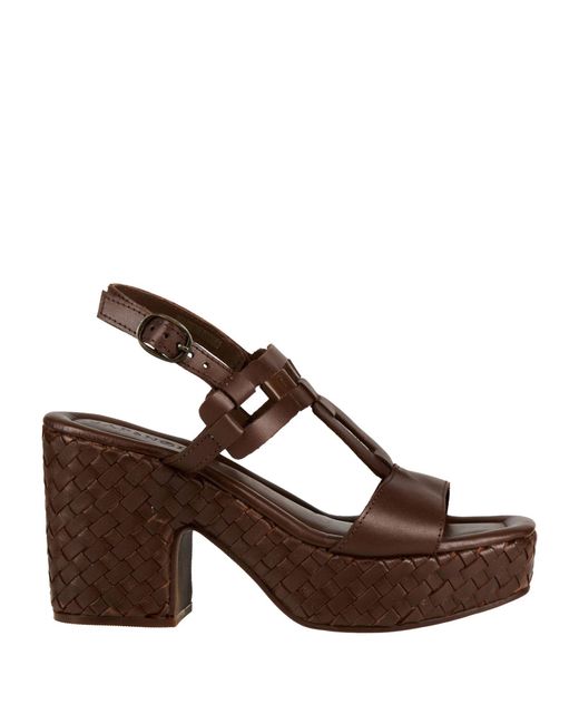 CafeNoir Brown Sandals