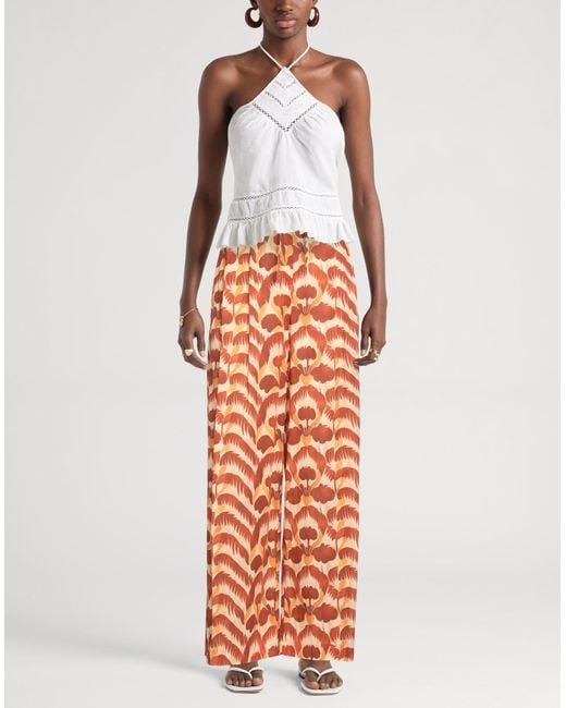 ViCOLO Orange Trouser