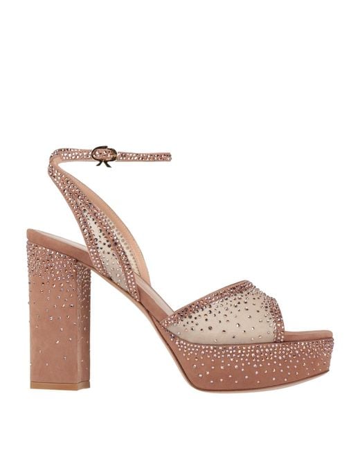 Gianvito Rossi Pink Sandals Leather