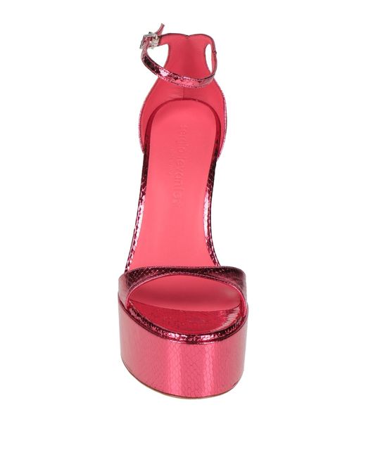 Sergio Levantesi Pink Sandals