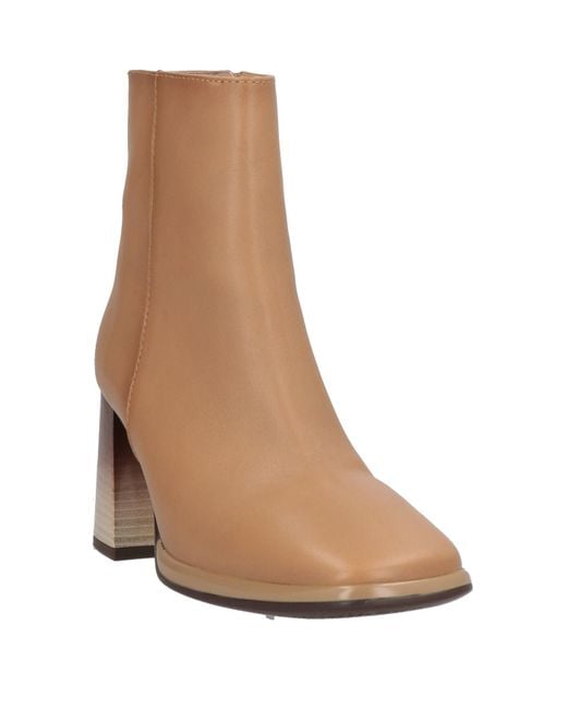 Hispanitas Brown Ankle Boots Leather
