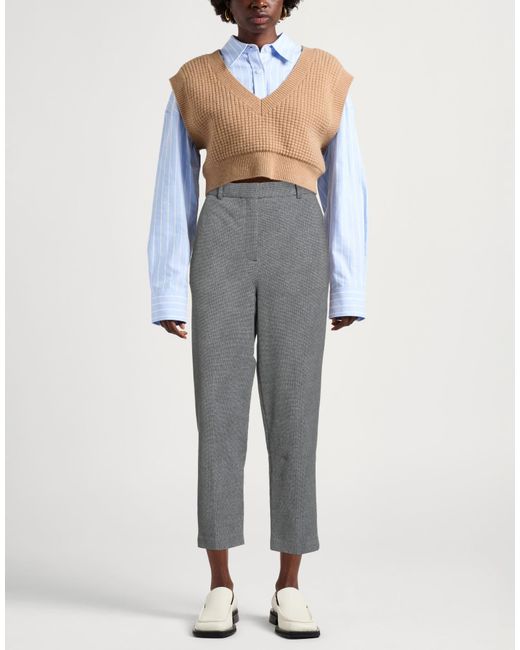 Circolo 1901 Gray Pants Cotton, Elastane