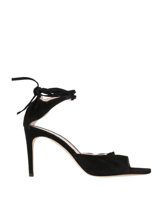 Sandales Pollini en coloris Black