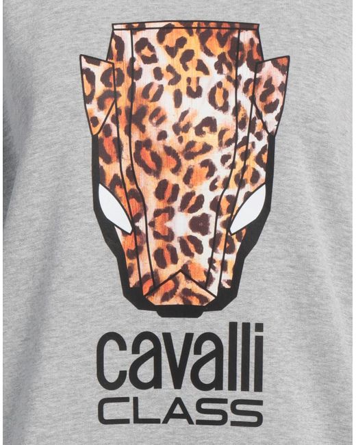Roberto Cavalli Gray Sweatshirt