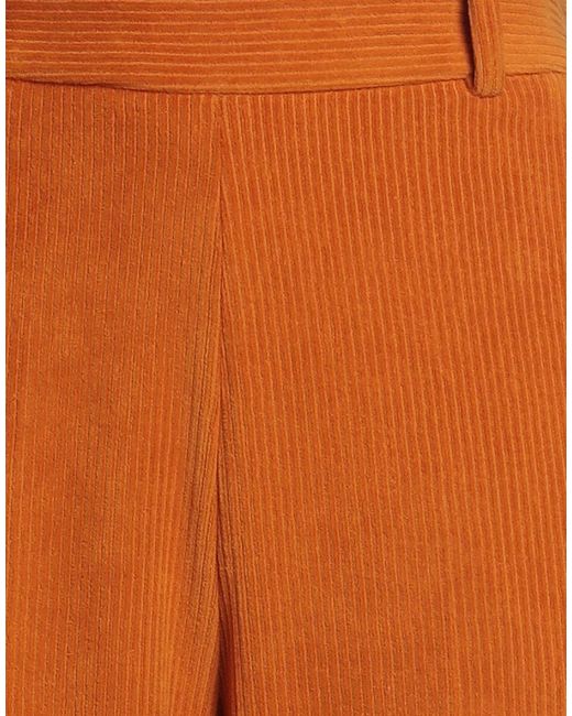 Circolo 1901 Orange Trouser