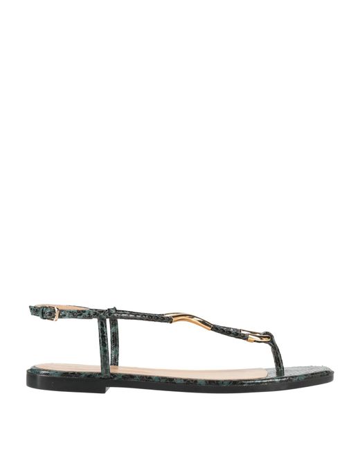Sergio Rossi Green Thong Sandal
