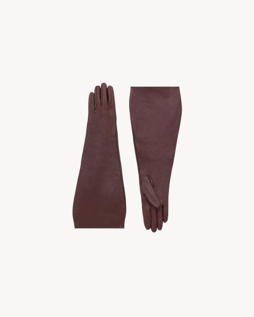 Saint Laurent Purple Handschuhe Aus Lammleder