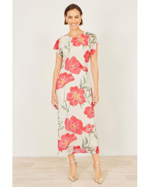 Yumi' Red Poppy Print Midi Mesh Dress