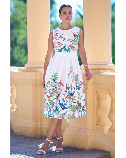 Yumi' Blue Woodland Animal Print Cotton Midi Skater Dress