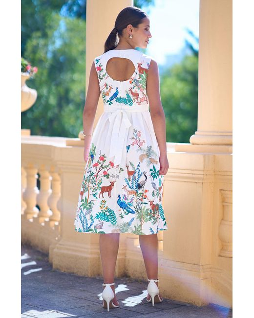 Yumi' Blue Woodland Animal Print Cotton Midi Skater Dress