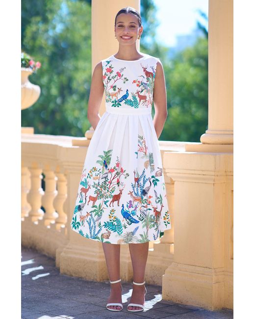 Yumi' Blue Woodland Animal Print Cotton Midi Skater Dress