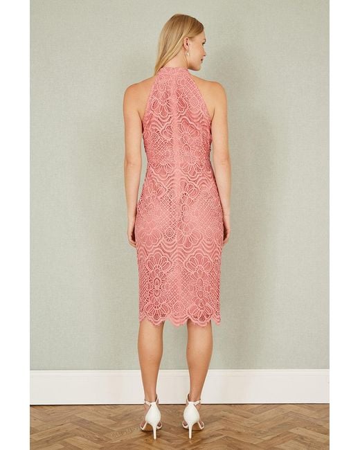 Yumi' Pink Lace Halter Neck Dress