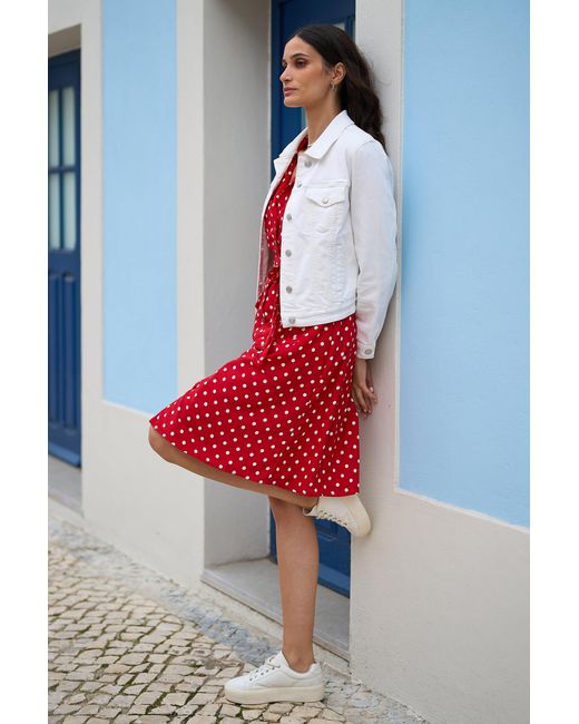 Yumi' Blue Stretch Cotton Denim Jacket