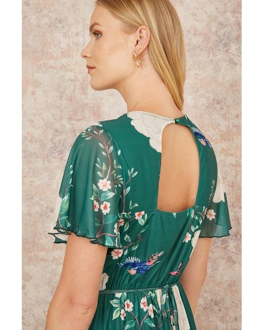Yumi' Green Mesh Bird And Floral Print Midi Dress With Ruffles