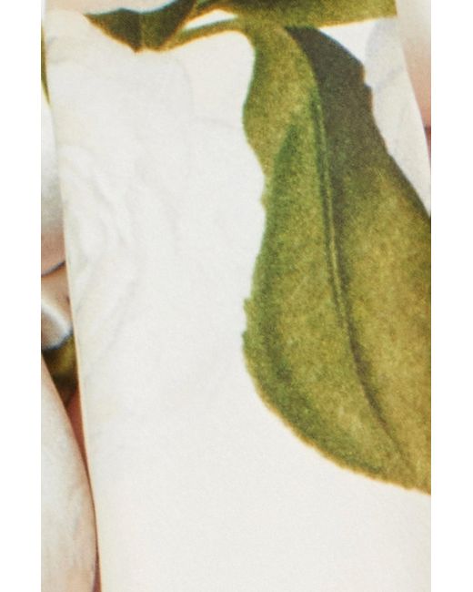 Yumi' Pink Ivory100% Silk Botanical Rose Print Scarf