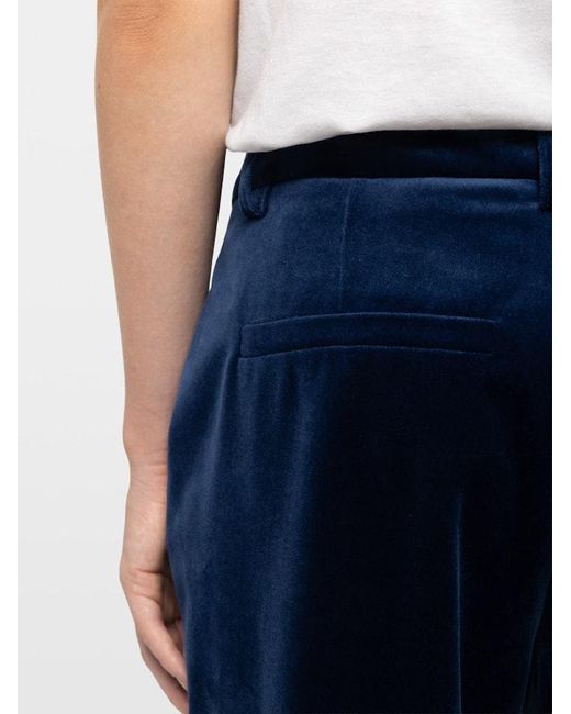 Zadig & Voltaire Blue Prevy Velvet Trousers