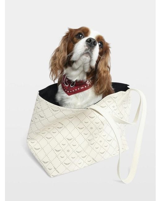 Zadig & Voltaire Red Zadog Bandana