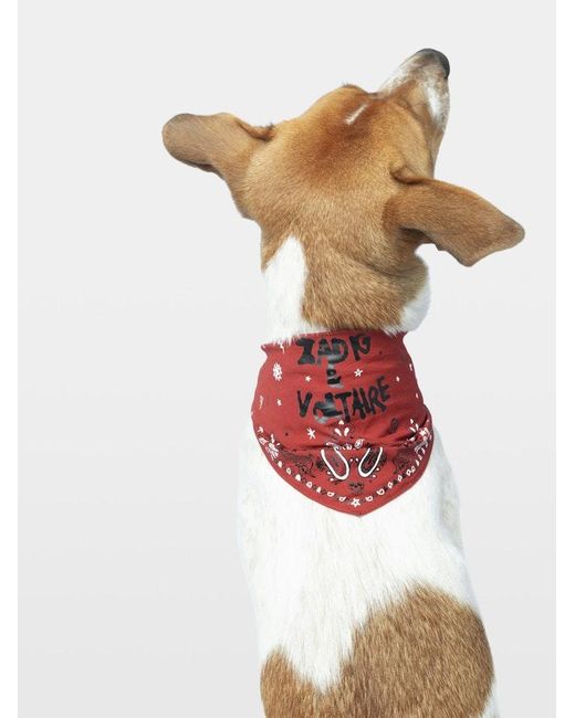 Zadig & Voltaire Red Zadog Bandana