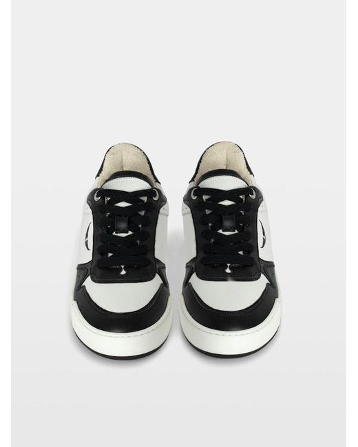 Zadig & Voltaire Black Low-Top Wings Trainers for men