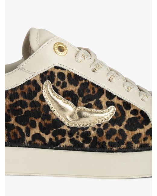 Zadig & Voltaire Brown Low-Top Fly On Trainers