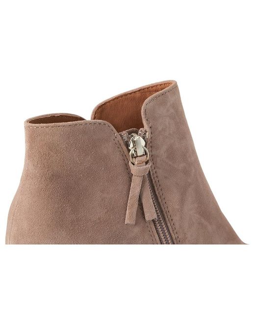 Söfft Gray Sasha (Stone Suede) Boots