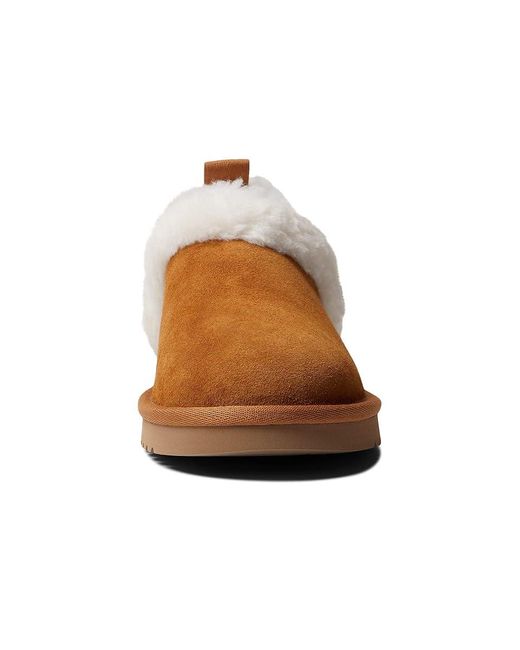 Ugg Brown Advay Slip-On (Chestnut) Shoes