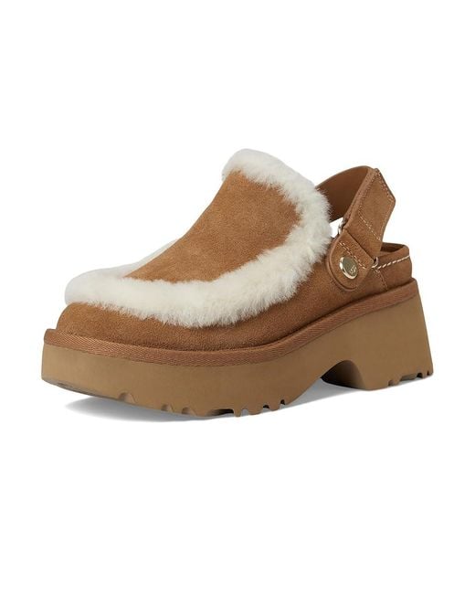 Ugg Brown Esmee Clogs Shoes 5 B