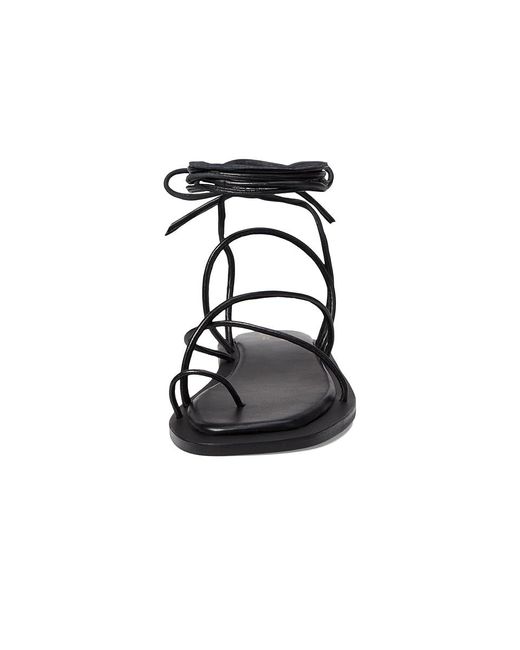Seychelles Black Lilac ( Leather) Shoes