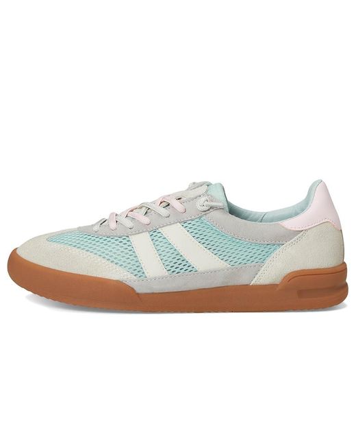 Steve Madden Blue Verdict Shoes