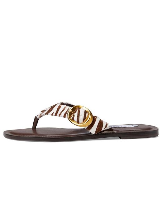 Steve Madden Metallic Rays (Zebra 1) Sandals