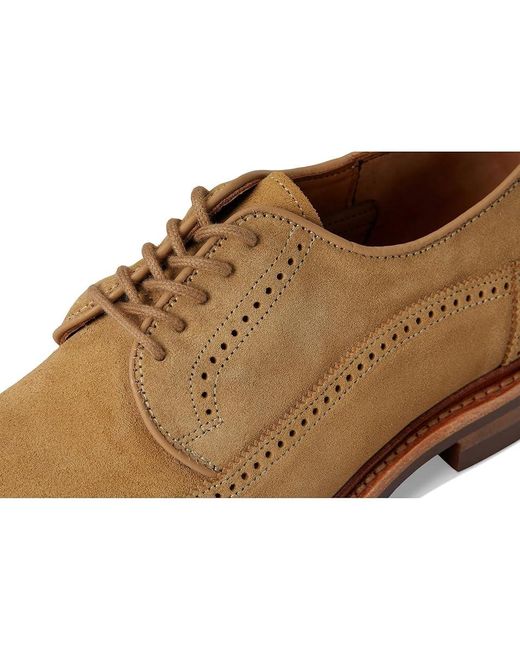 Allen Edmonds Multicolor Winstonmok Derby Shoes Shoes 11 D (M) Leather/Suede for men