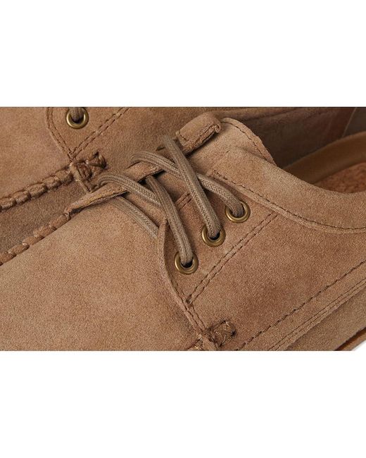 Steve Madden Multicolor Kolt Lace-Up Boots 9.5 D for men