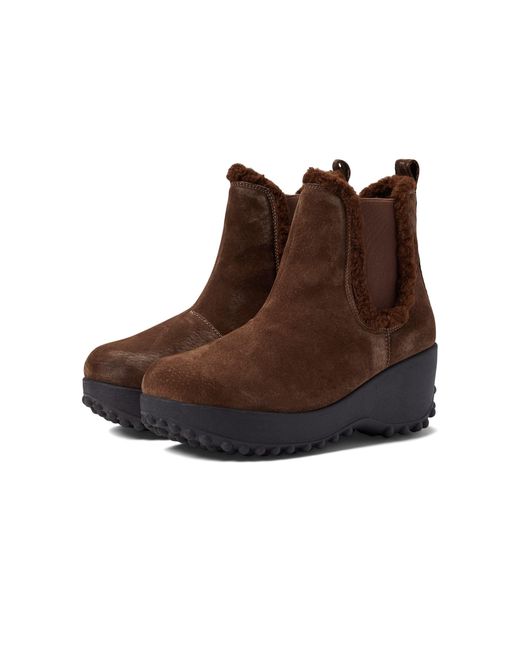 Rocket Dog Suede Frost in Brown Lyst