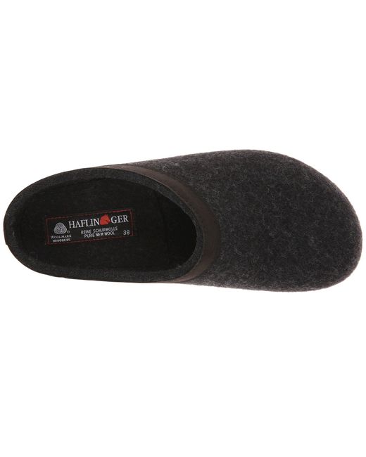 haflinger grizzly leather trim