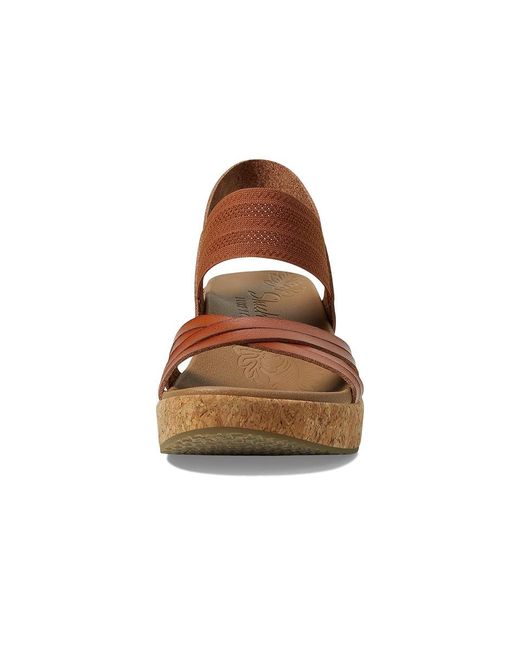 Skechers Brown Brystol