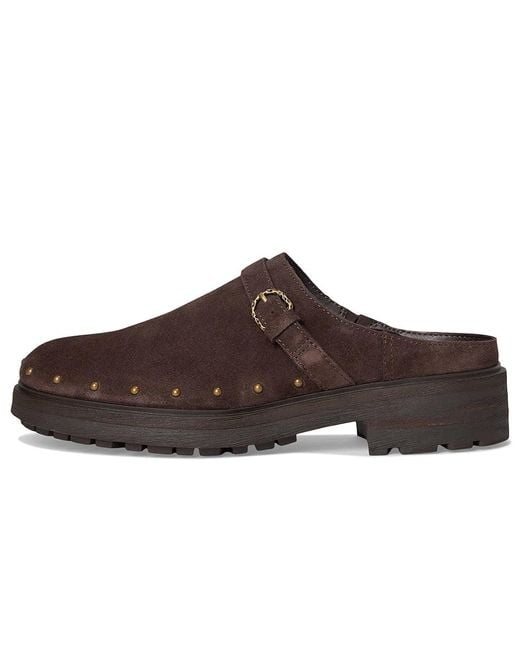 Lucky Brand Brown Caytina Shoes 8 B