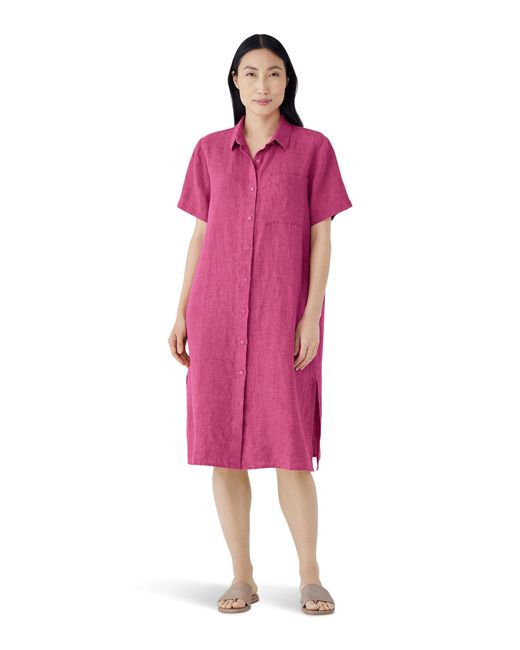 Eileen Fisher Pink Classic Collar Shirt Dress