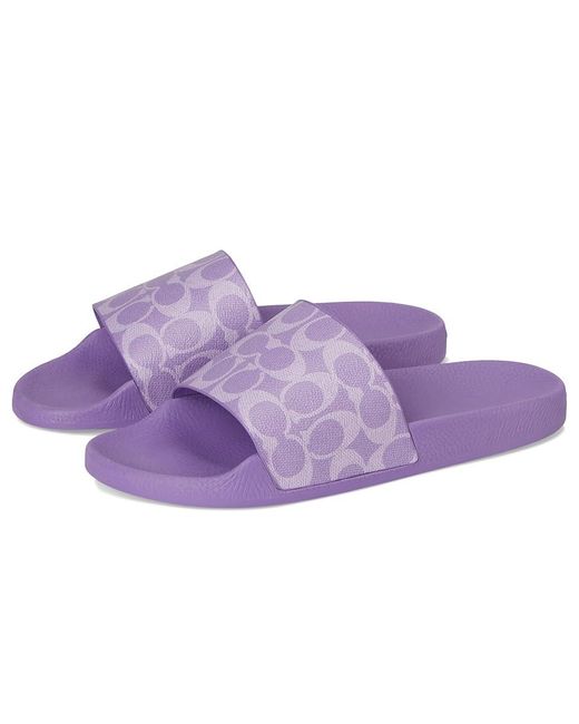 COACH Purple Udele Sport Slide Flat Sandal