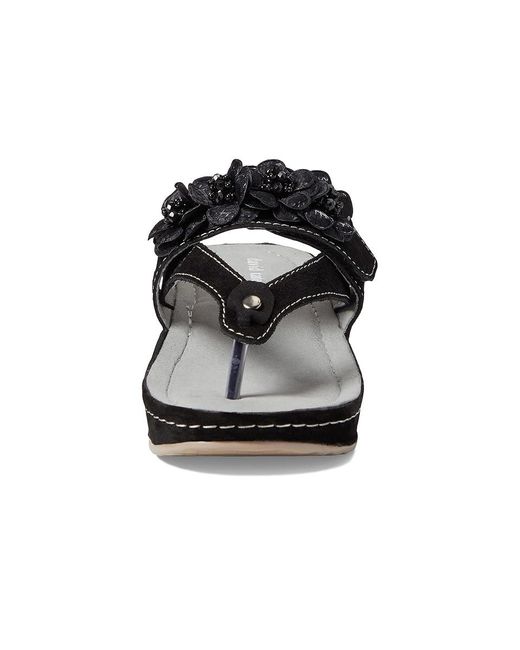 David Tate Black Garden ( Suede) Shoes