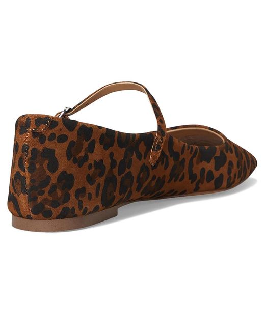 Steve Madden Brown Maple Shoes, Leather/Mesh