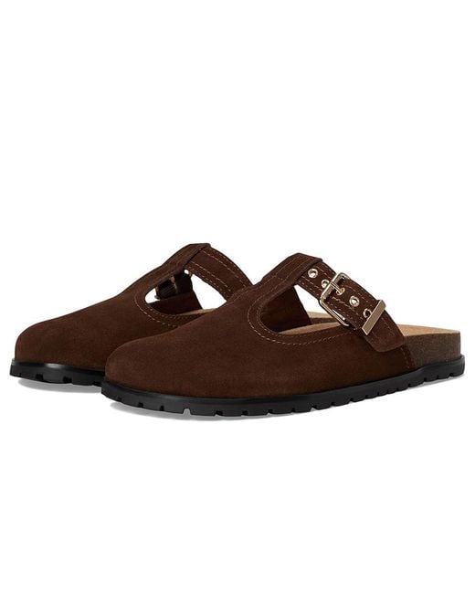 Steve Madden Brown Atticus Shoes