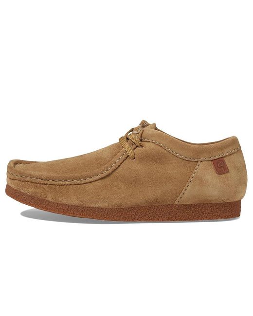Clarks Brown Shacre Ii Run Shoes Shoes 7 D for men