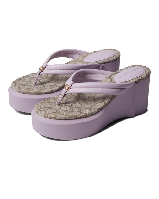 Women's COACH Women's Franki Platform Flip-Flop Sandals Black | eBay