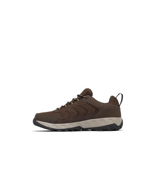 Columbia Brown Strata Trail Low Wp (Cordovan/Golden) Shoes for men